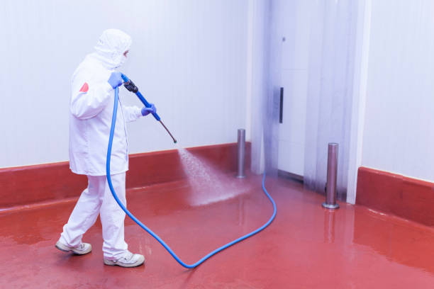 Best Building Exterior Pressure Washing in Bryan, TX
